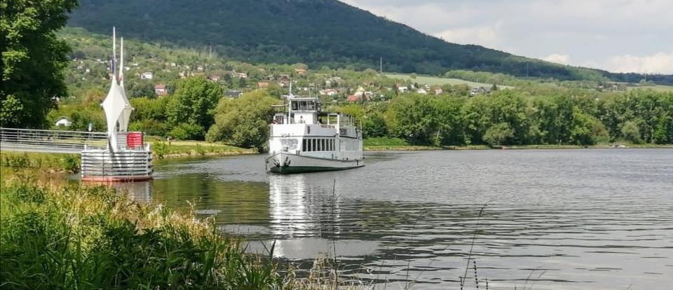 Party boat.jpg