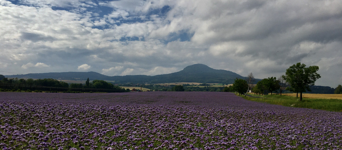 Sedlo (3).JPG