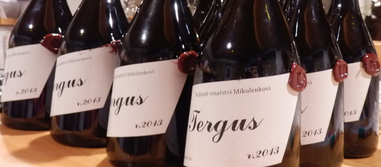 tergus-1x1-1.jpg