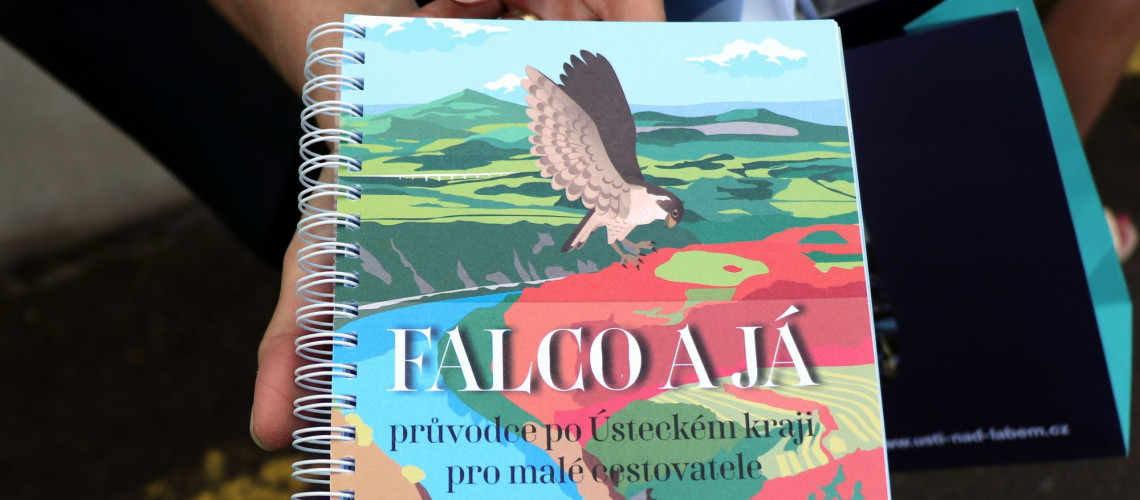 Falco 2.jpg