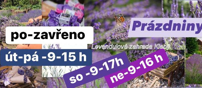 levandulová zahrada.jpg
