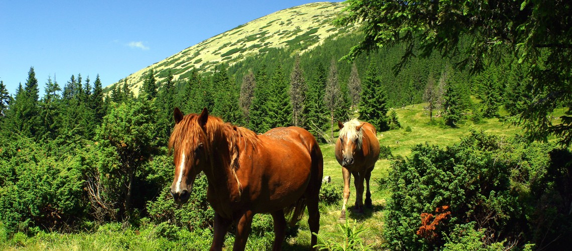 Podkarpatská Rus - foto.jpg