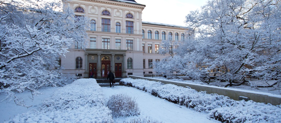 vánoční procházka.jpg