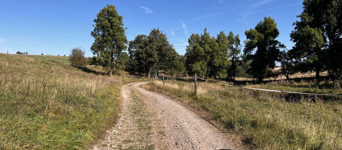 Krušné hory příroda.JPG