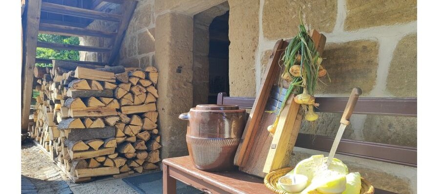 Muzeum v přírodě Zubrnice_zelí_13.9.2025.jpg