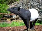 Zoo_Usti.jpg