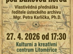 Prednaska_final.png